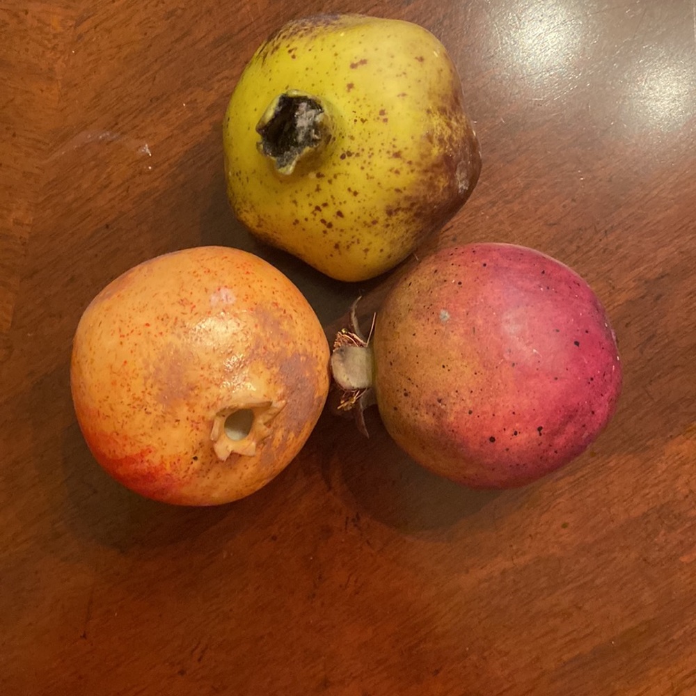 Fake Fruit - Picture 5 of 5
